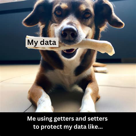 Image result for Setters Getters Python