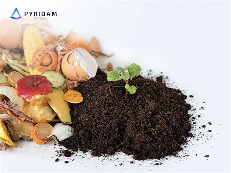 Toradh íomhá ar Contoh Gambar Dataset SQL Injction