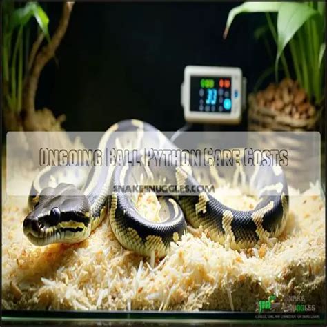 Image result for Ball Python Setup and Care