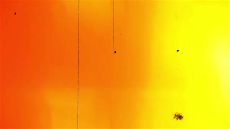 Film Matte Overlay Loop Motion Array に対する画像結果