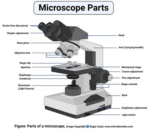 Toradh íomhá ar Compound Microscope Drawable
