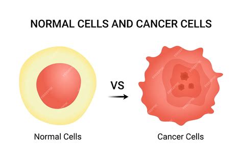 Afbeeldingsresultaten voor Normal Cell Icon