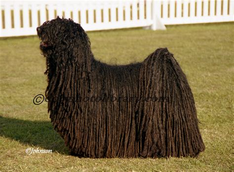 Image result for Commodore 64 Joystick