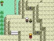 Image result for Pokemon Emerald Randomizer