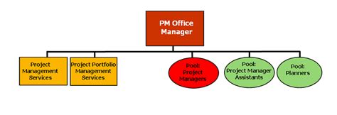 Image result for Director of Project Management Diagram