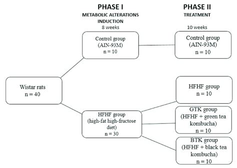 Image result for Experimental Study Design Examples