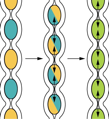 Toradh íomhá ar Segmentation Digestive System