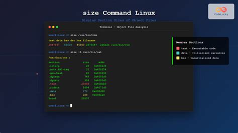Toradh íomhá ar Command in Linux to Copy a Text File