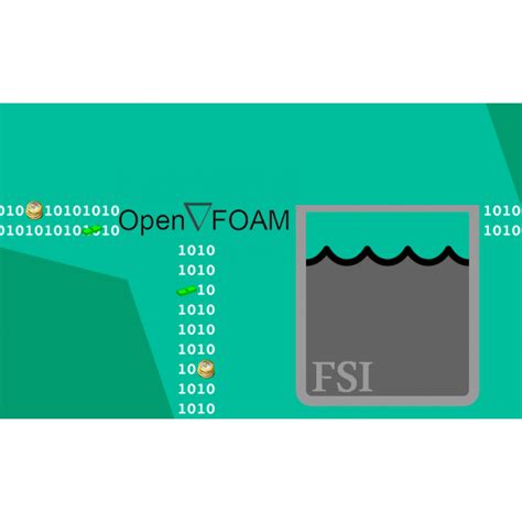 Image result for OpenFOAM FSI