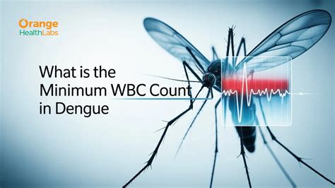 Image result for WBC Count