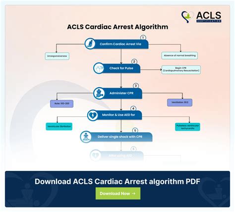 Image result for ACLS Stroke Algorithm 2025