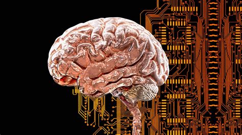 Image result for Brain Network Drawing