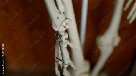 Image result for Science Hand