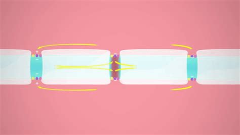 Afbeeldingsresultaten voor Crash Course Neurons