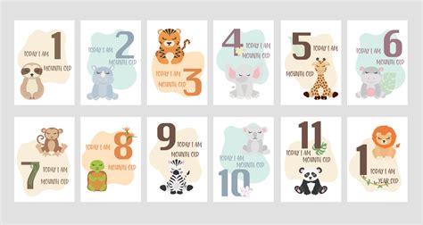 Afbeeldingsresultaten voor Baby Milestone Cards