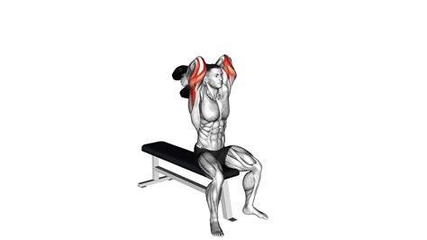 Image result for Seated Overhead Extension