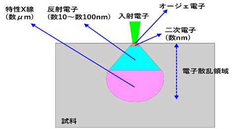Afbeeldingsresultaten voor Edx分析