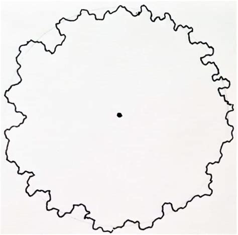 Image result for Tree Canopy Line Work