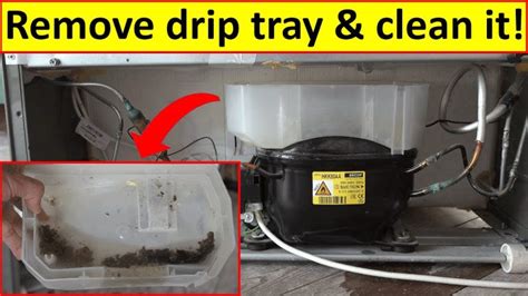Toradh íomhá ar Drip Pan Freezer Box