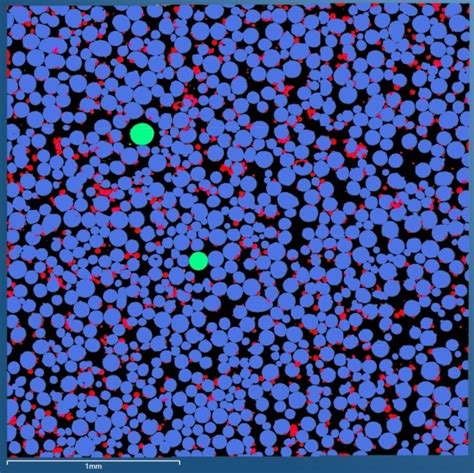 Toradh íomhá ar Particle Size Microscope