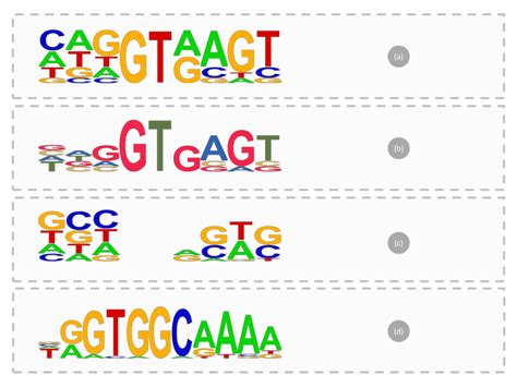 Afbeeldingsresultaten voor ProSite Sequence Logo Color Code