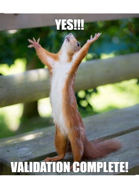 Image result for Validation Engineer Meme