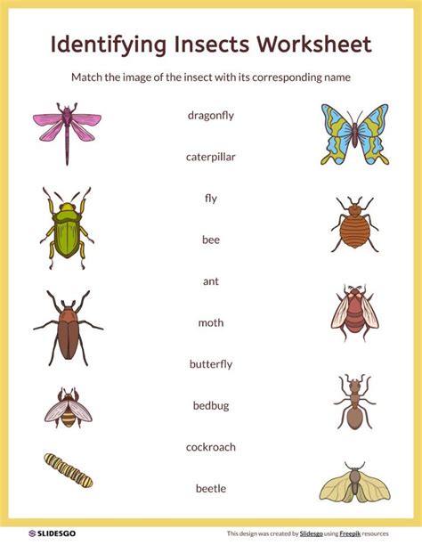 Image result for Classifying Insects Work Sheet