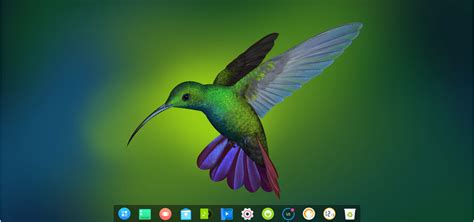 Toradh íomhá ar Deepin Linux Environment
