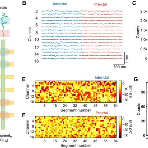 Parallel Signals に対する画像結果