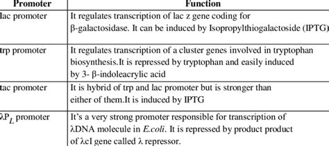 Image result for E. Coli Expression Vector