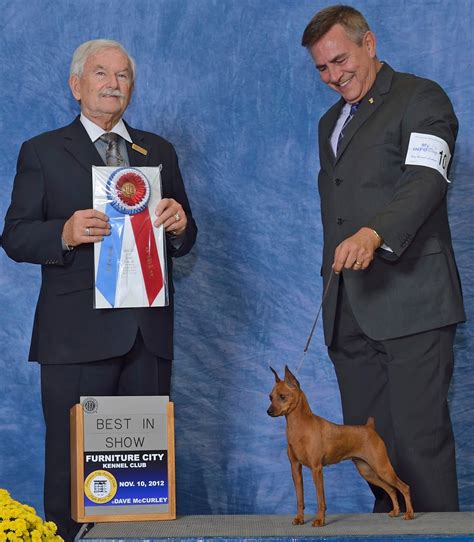 Image result for Commodore 64 Joystick