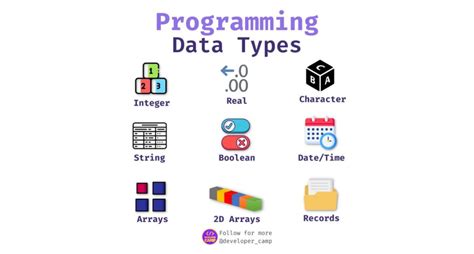 Image result for Raw Data Types INR Programming