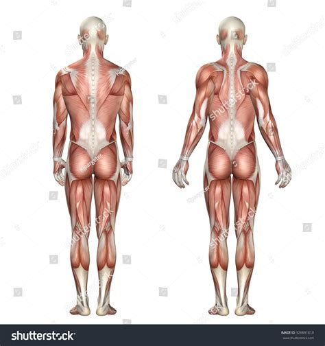 Protraction に対する画像結果