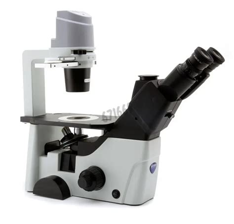 Résultat d’images pour Inverted Microscope Magnifications