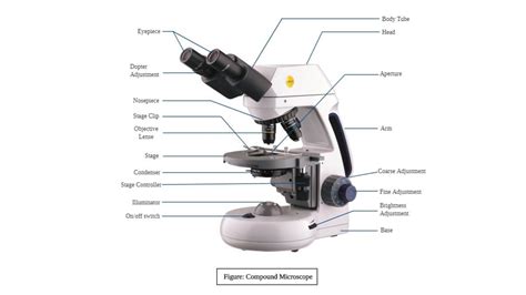 Toradh íomhá ar Compound Microscope Meaning
