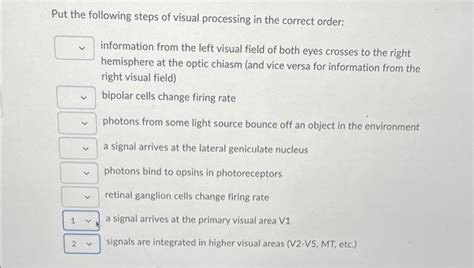 Image result for Visual Processing Steps