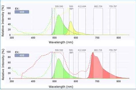 Image result for Flow Cytometry Panel