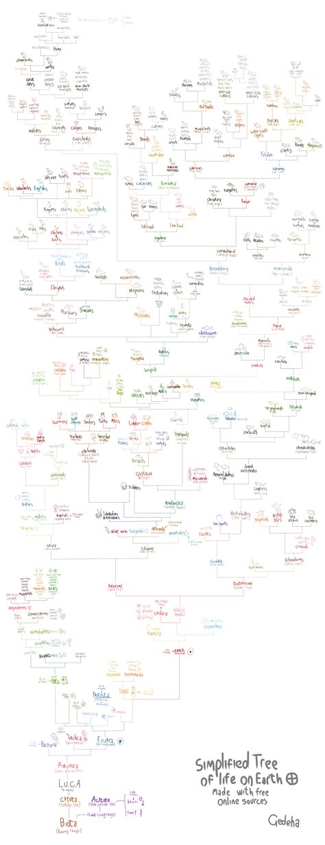 Image result for LifeMap Evolution Tree