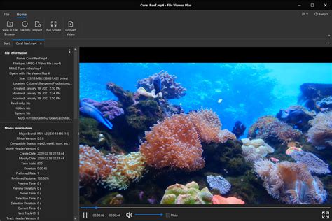 Image result for File Opening MP4
