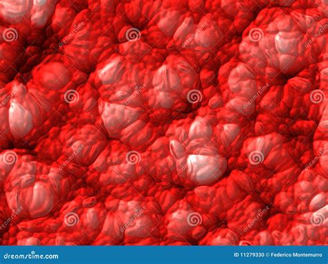 Afbeeldingsresultaten voor Dynamic Econometric Models