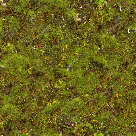 Image result for Moss Texture