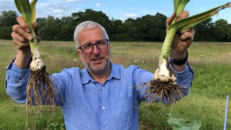Giant Garlic に対する画像結果