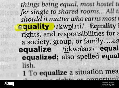 Image result for Equality Synonym