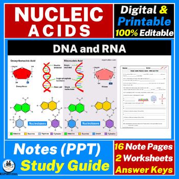 Afbeeldingsresultaten voor Nucleic Acids Homework