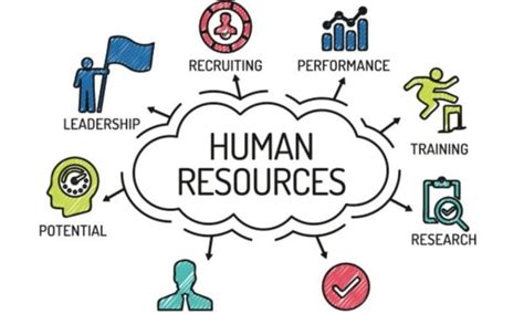 Afbeeldingsresultaten voor Role Human Resource Development