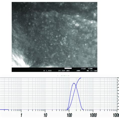 Toradh íomhá ar Particle Size Microscope