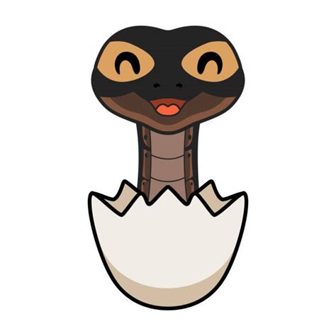 Python Library Icon Egg に対する画像結果