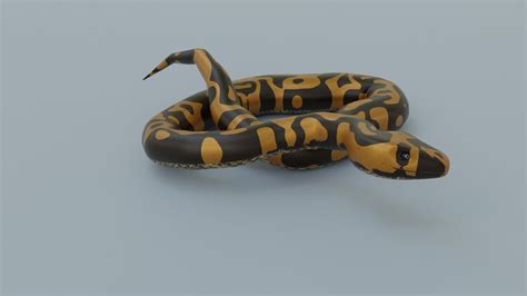 Image result for Poly Resin Python