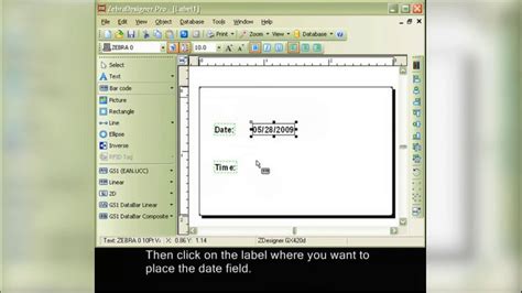 Image result for Zebra Program