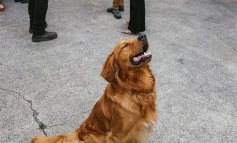 Passez Un Bon Weekend に対する画像結果